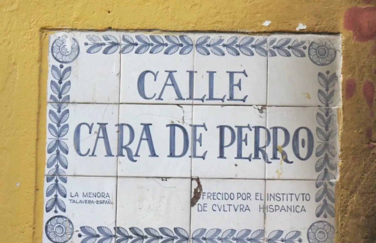 Cara de Perro